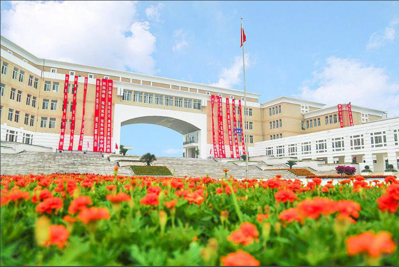 郑中国际学校局域网网络整改建设方案